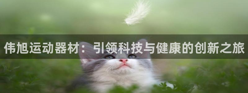 emc易倍体育官网下载平台是正规平台吗知乎：伟旭运动器材：引