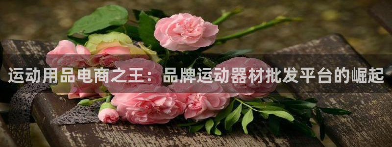 emc易倍体育官网下载平台注册要钱吗：运动用品电商之王：品牌