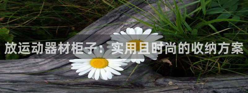 emc易倍体育官方正版app官网：放运动器材柜子：实用且时尚