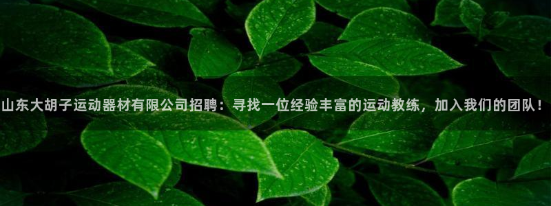 emc易倍体育官方正版app官方：山东大胡子运动器材有限公司