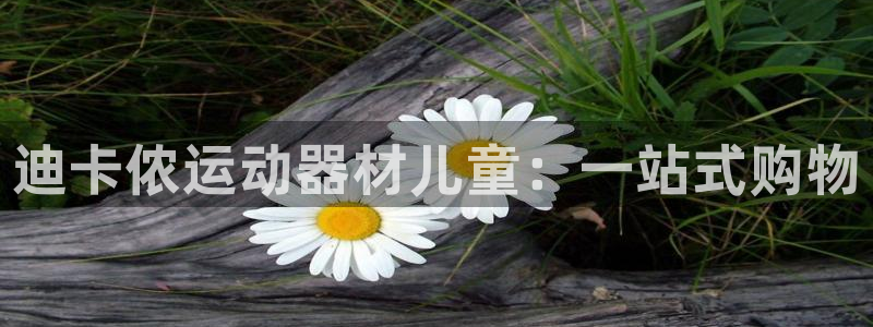 emc易倍体育官网下载平台注册：迪卡侬运动器材儿童：一站式购