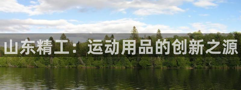 emc易倍体育官网下载平台注册要钱吗安全吗：山东精工
