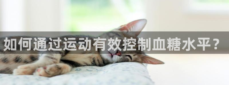 bsport必一运动