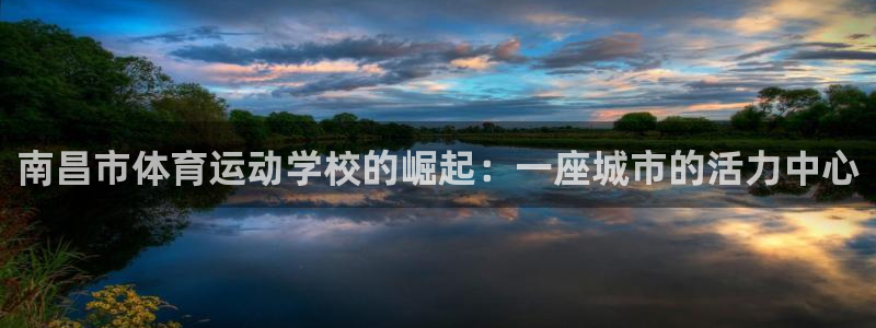 必一运动：南昌市体育运动学校的崛起：一座城市的活力中心