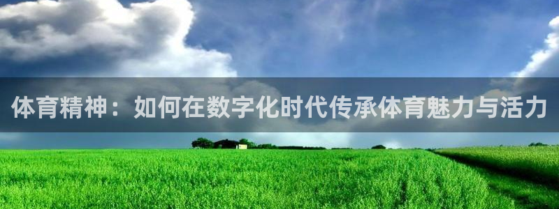 必一运动体育官网入口：体育精神：如何在数字化时代传承体育魅力与活力