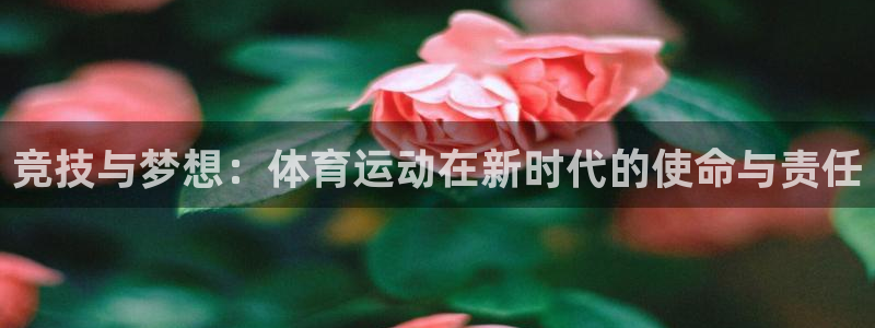 必一运动官网入口：竞技与梦想：体育运动在新时代的使命与责任
