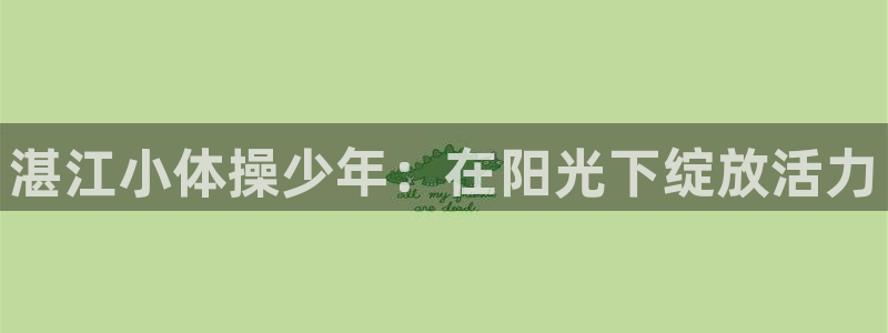 必一运动：湛江小体操少年：在阳光下绽放活力